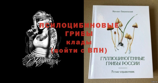МДМА Абаза