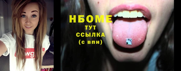 индика Нягань