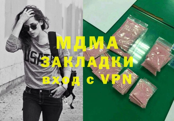 индика Нягань