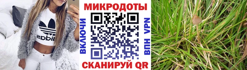 дарнет шоп  Спас-Клепики  Галлюциногенные грибы Psilocybine cubensis 